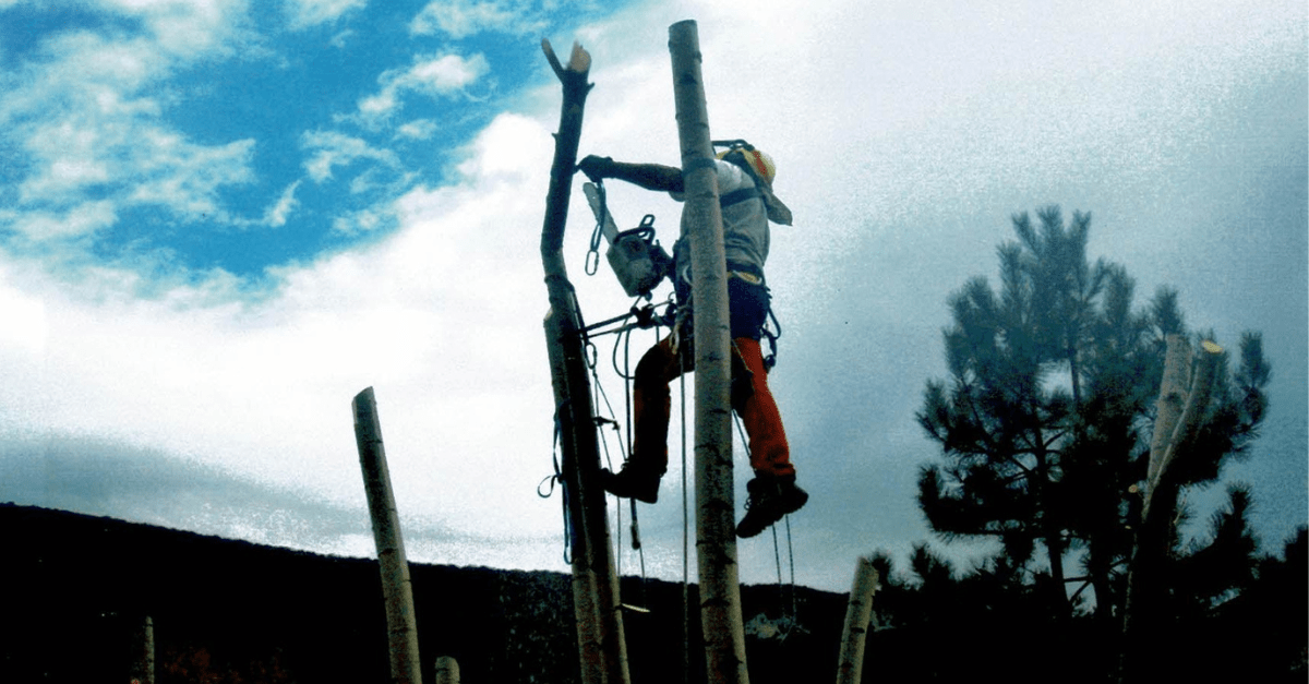 2005-à-2014_Facchineri-et-fils_Divers_Elagages
