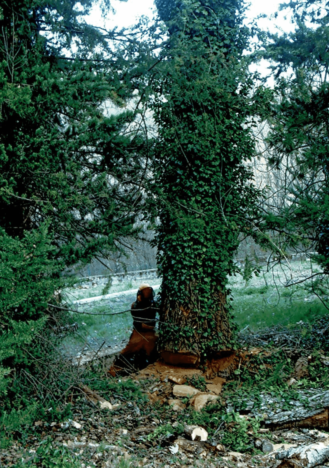 2005-à-2014_Facchineri-et-fils_Divers_Elagages