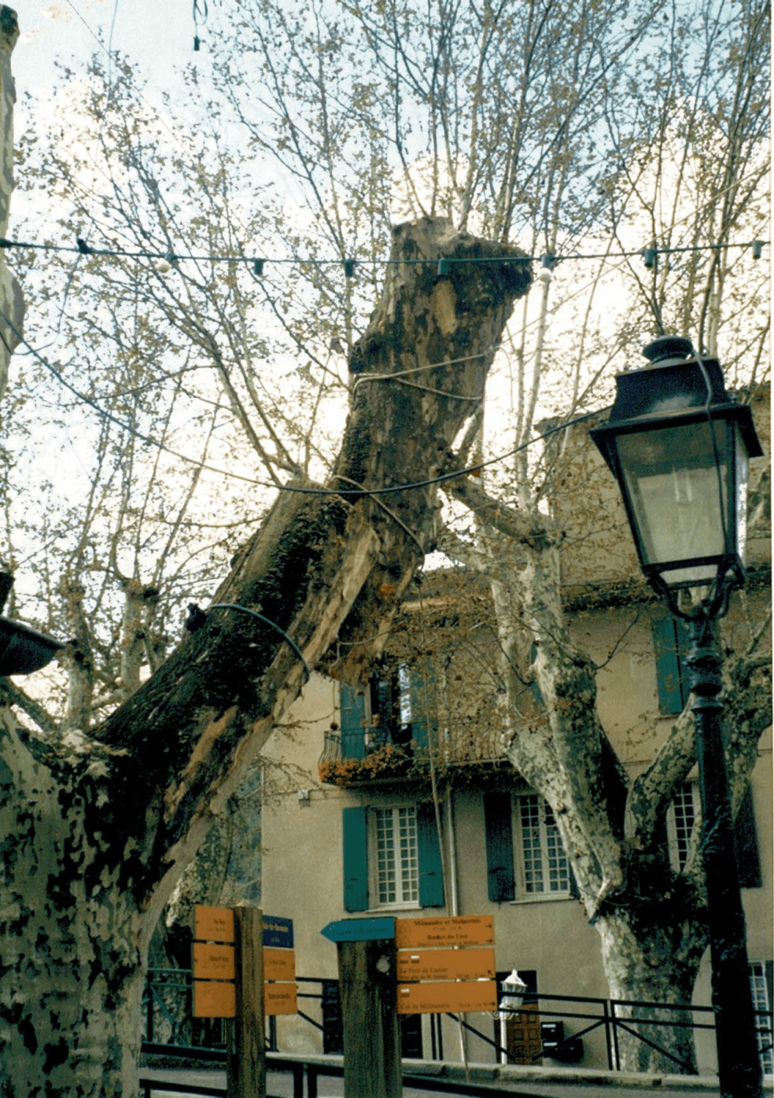 2005-à-2014_Facchineri-et-fils_Divers_Elagages