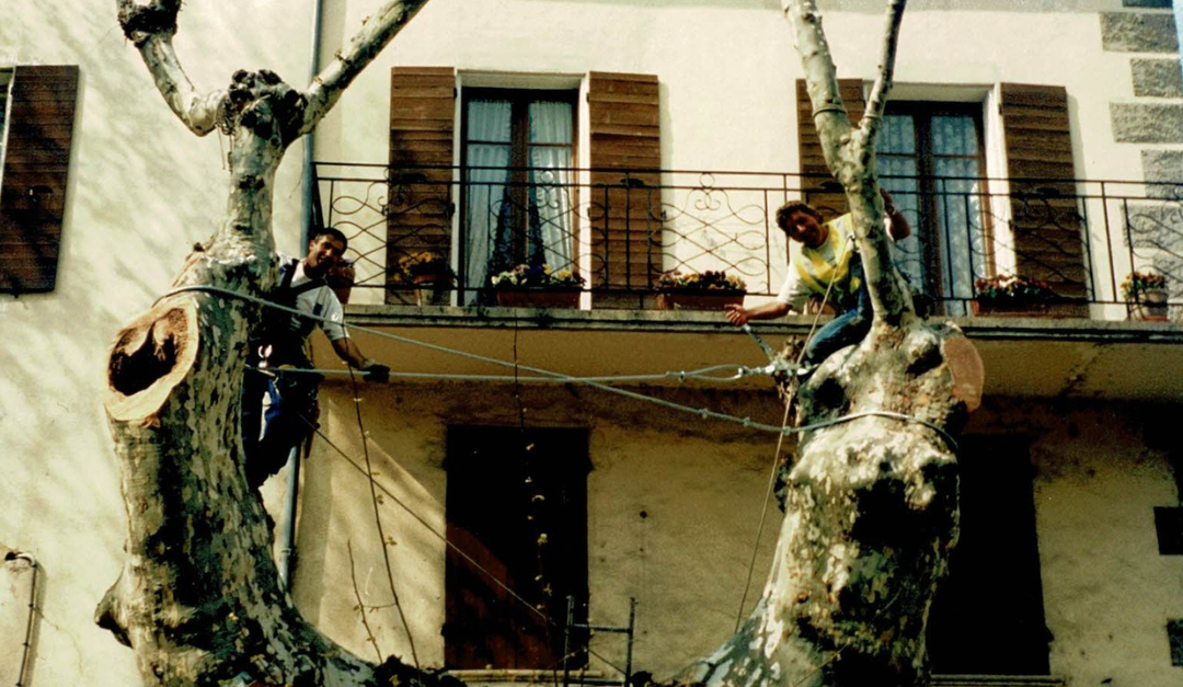 (2007) Buis-les-Baronnies