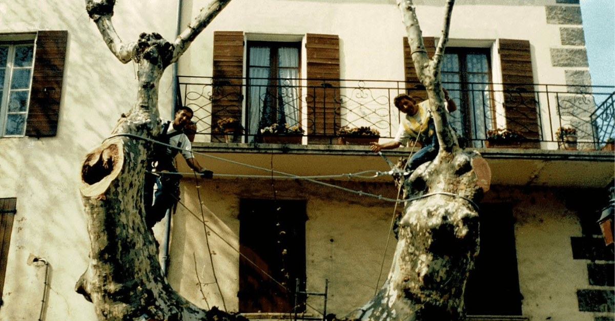 2007_Facchineri-et-fils_Buis-les-Baronnies_Elagage-sauvetage_Platanes