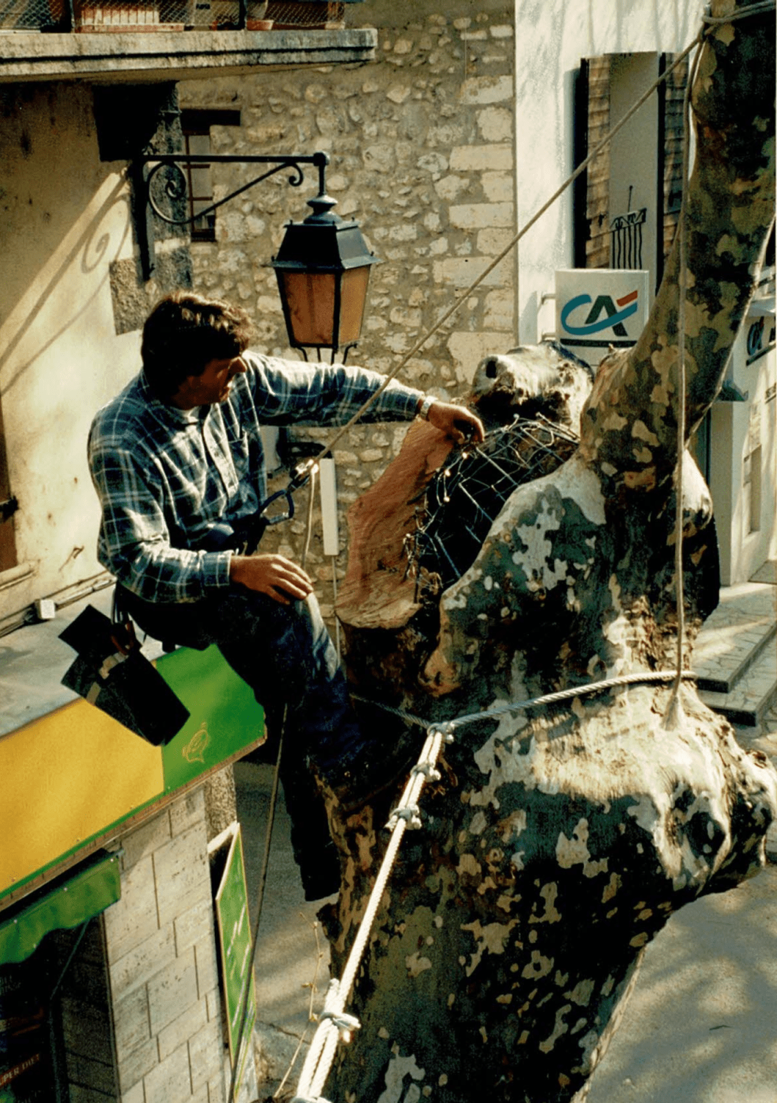 2007_Facchineri-et-fils_Buis-les-Baronnies_Elagage-sauvetage_Platanes