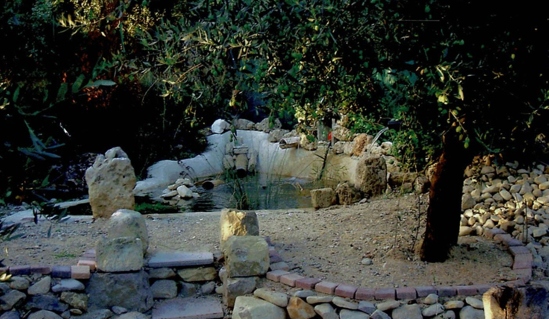 (2010) Buis-les-Baronnies