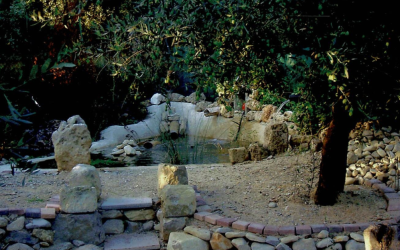 (2010) Buis-les-Baronnies