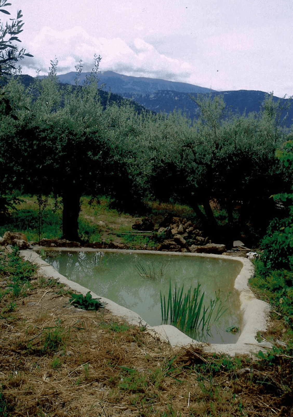 2010-Facchineri-et-fils_Buis-les-Baronnies_Bassin-en-chaux
